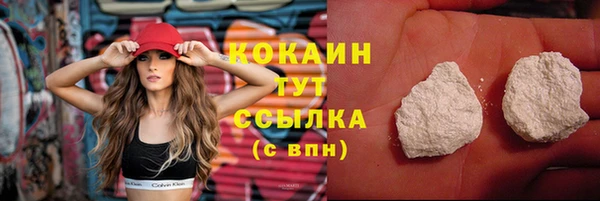 Альфа ПВП Верея