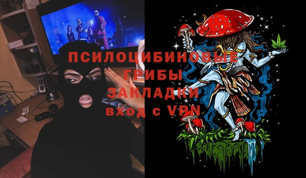 первитин Калининец