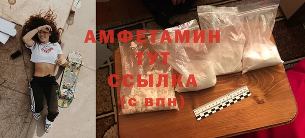 Альфа ПВП Верея