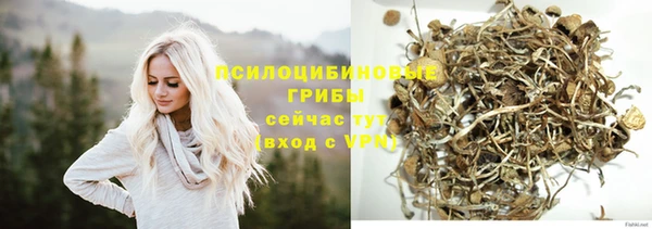 ешки Верхний Тагил