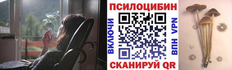 Псилоцибиновые грибы MAGIC MUSHROOMS  сколько стоит  Людиново 